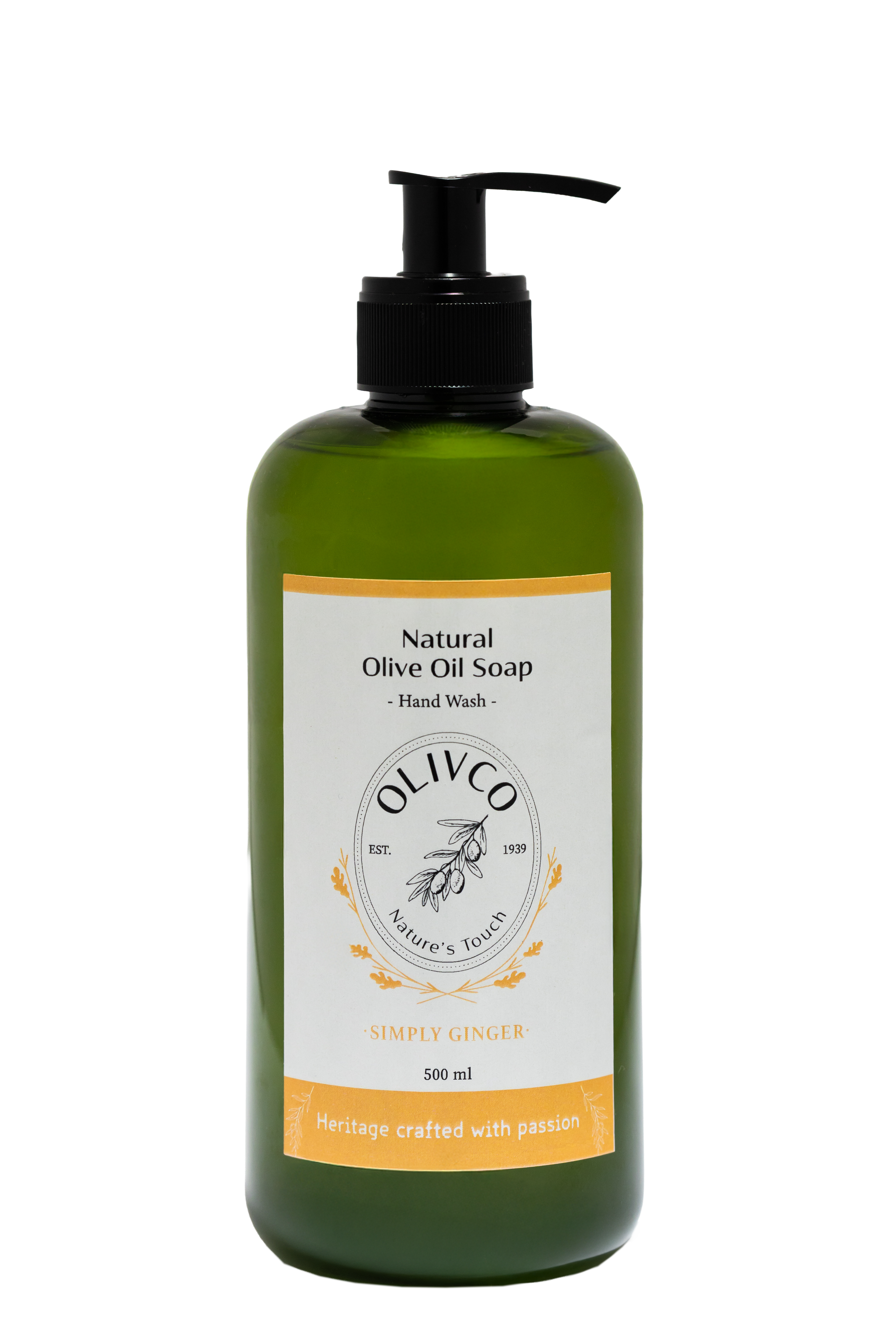 اوليفكو زنجبيل